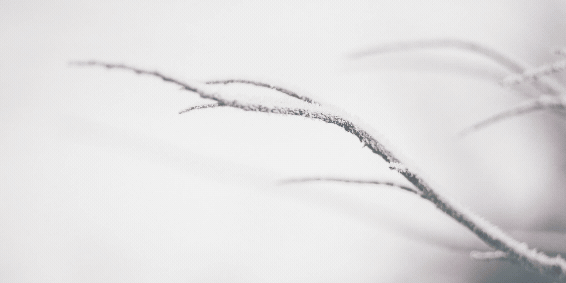 Layanan Meja INformasi 20251021 052733 0000